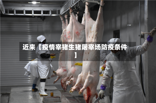 近来【疫情宰猪生猪屠宰场防疫条件】-第2张图片
