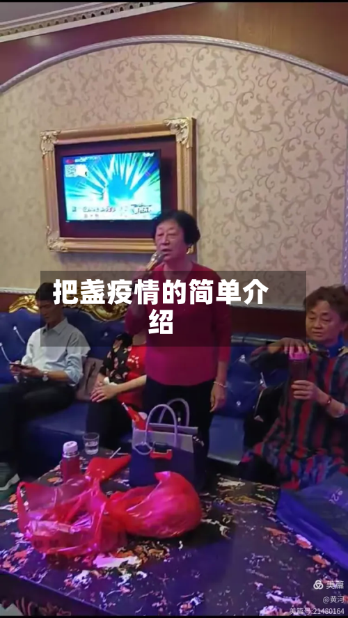 把盏疫情的简单介绍-第1张图片