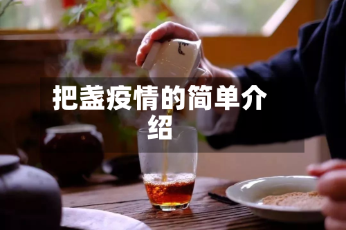 把盏疫情的简单介绍-第2张图片