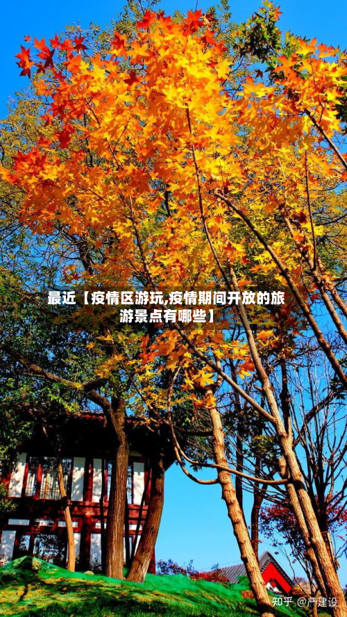 最近【疫情区游玩,疫情期间开放的旅游景点有哪些】-第1张图片