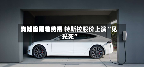 赛博出租车费用与政策黑箱待揭 特斯拉股价上演“见光死”-第1张图片