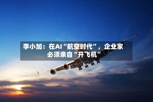 李小加：在AI“航空时代”	，企业家必须亲自“开飞机	”-第1张图片