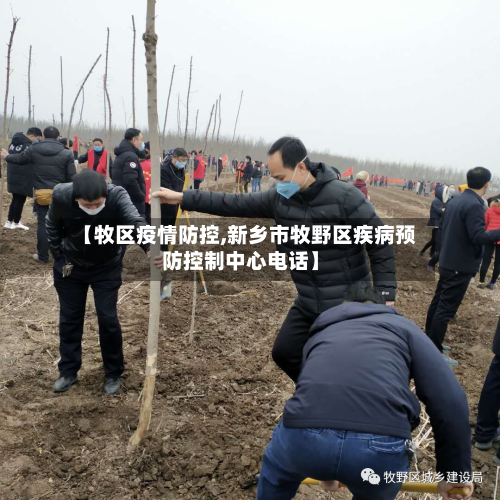 【牧区疫情防控,新乡市牧野区疾病预防控制中心电话】-第3张图片