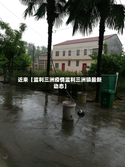近来【监利三洲疫情监利三洲镇最新动态】-第2张图片
