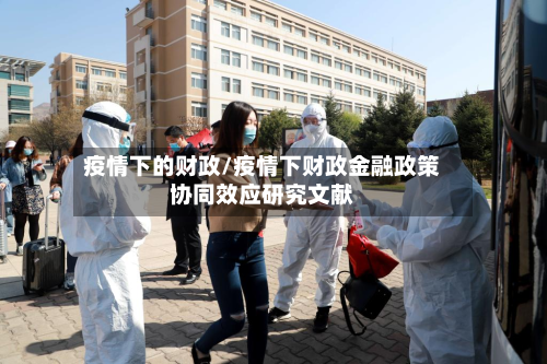疫情下的财政/疫情下财政金融政策协同效应研究文献-第1张图片