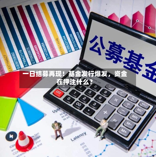 一日结募再现！基金发行爆发，资金在押注什么？-第1张图片