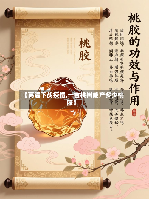 【高温下战疫情,一亩桃树能产多少桃胶】-第1张图片