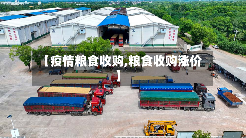 【疫情粮食收购,粮食收购涨价】-第2张图片
