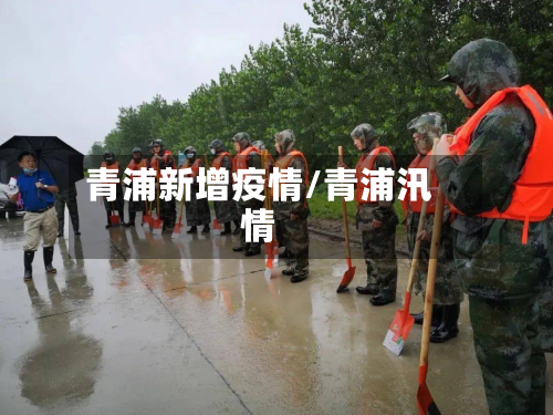 青浦新增疫情/青浦汛情-第1张图片