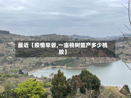 最近【疫情早餐,一亩桃树能产多少桃胶】-第1张图片