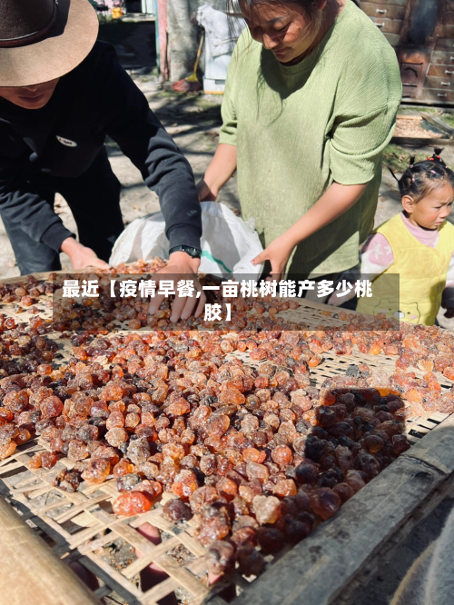 最近【疫情早餐,一亩桃树能产多少桃胶】-第2张图片