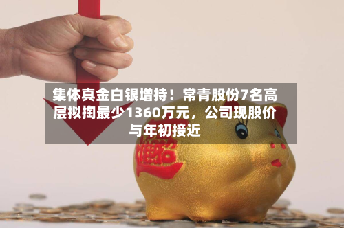 集体真金白银增持！常青股份7名高层拟掏最少1360万元，公司现股价与年初接近-第1张图片
