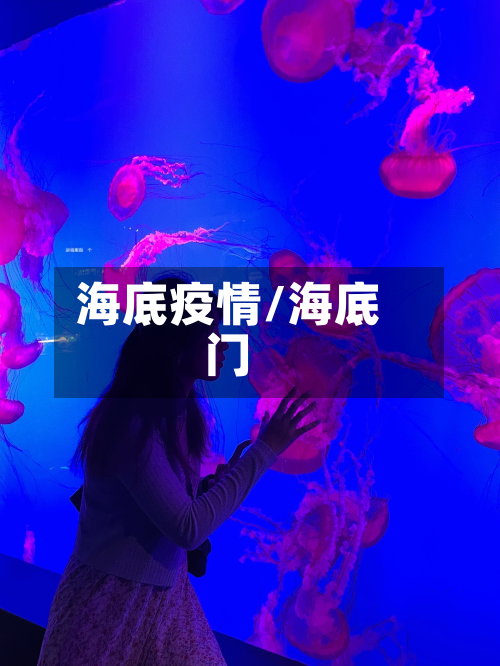 海底疫情/海底门-第1张图片