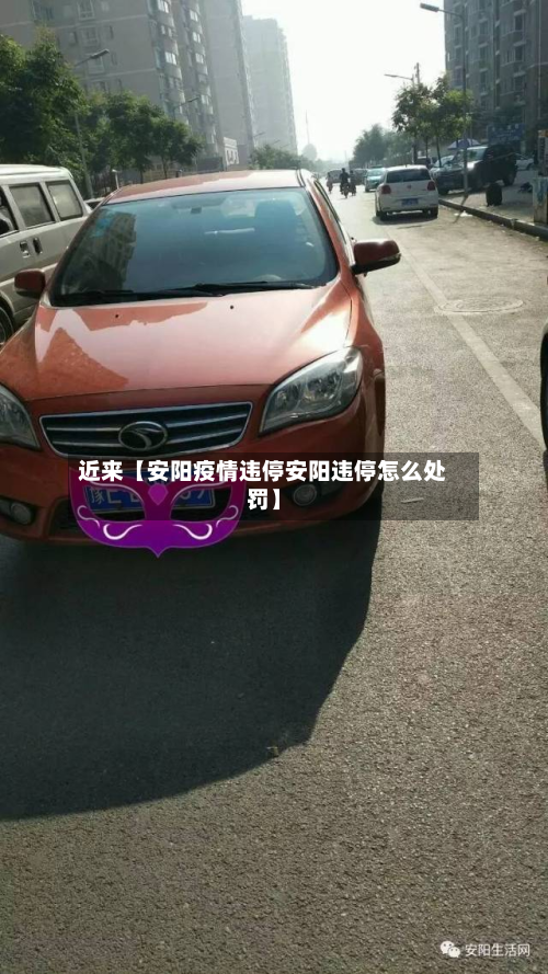 近来【安阳疫情违停安阳违停怎么处罚】-第2张图片