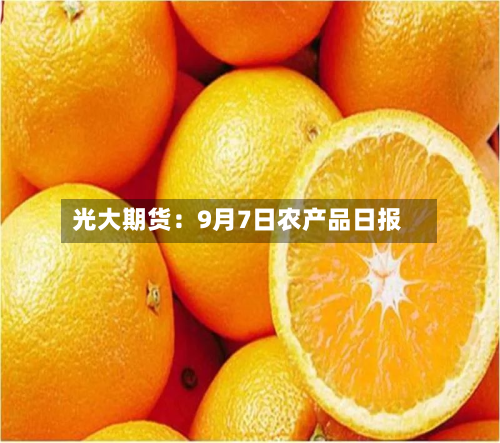 光大期货:9月7日农产品日报-第1张图片