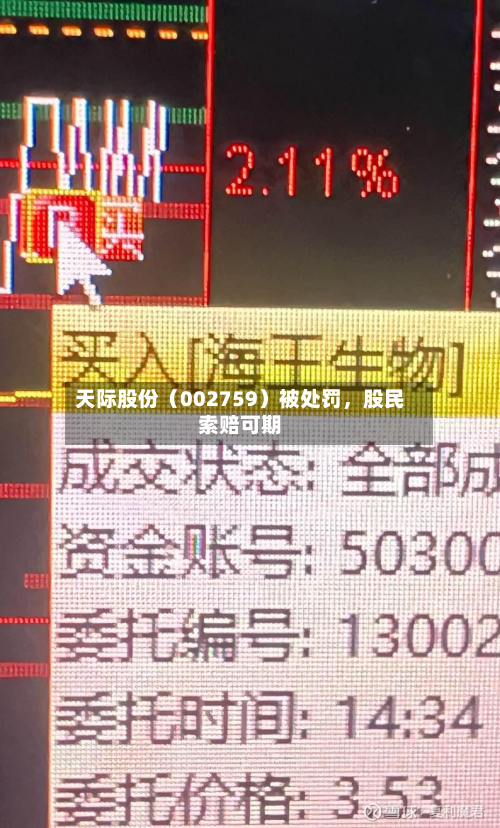 天际股份（002759）被处罚	，股民索赔可期-第3张图片