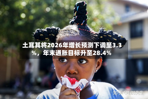 土耳其将2026年增长预测下调至3.3%	，年末通胀目标升至28.4%-第3张图片