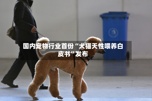 国内宠物行业首份“犬猫天性喂养白皮书”发布-第2张图片