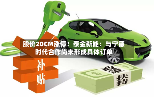 股价20CM涨停!泰金新能:与宁德时代合作尚未形成具体订单-第2张图片