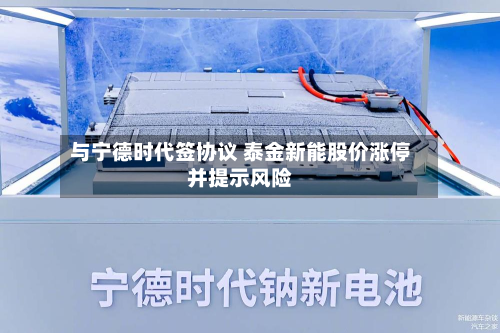 与宁德时代签协议 泰金新能股价涨停并提示风险-第3张图片