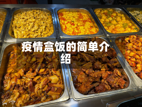 疫情盒饭的简单介绍-第1张图片