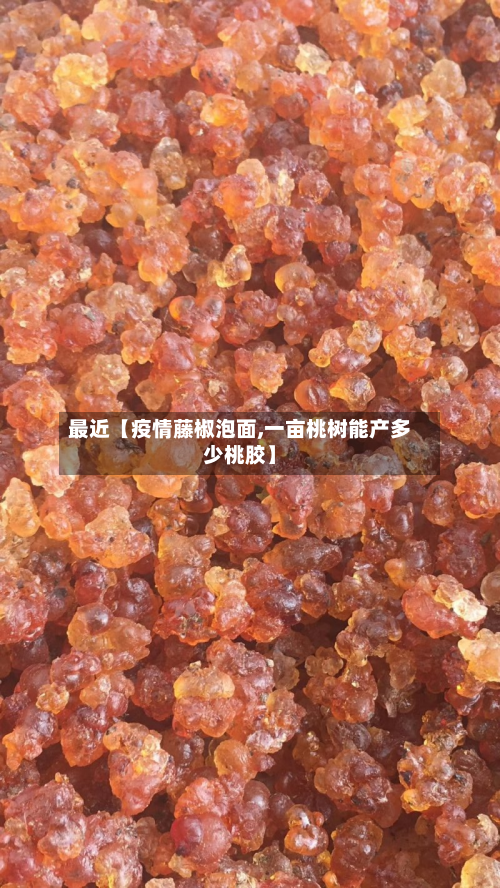 最近【疫情藤椒泡面,一亩桃树能产多少桃胶】-第1张图片