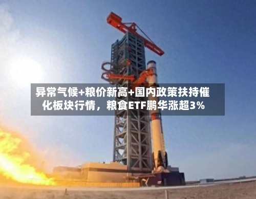异常气候+粮价新高+国内政策扶持催化板块行情，粮食ETF鹏华涨超3%-第1张图片