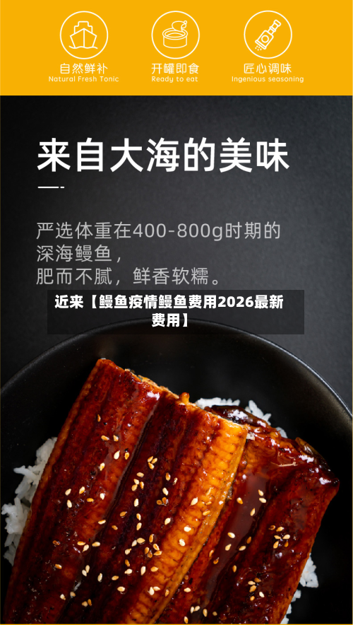 近来【鳗鱼疫情鳗鱼费用2026最新费用】-第1张图片