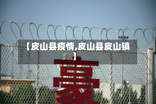 【皮山县疫情,皮山县皮山镇】-第2张图片