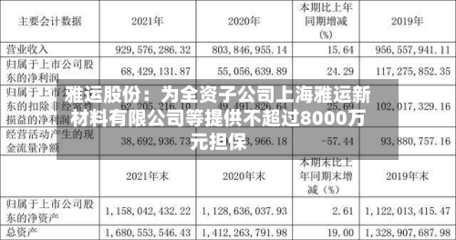 雅运股份:为全资子公司上海雅运新材料有限公司等提供不超过8000万元担保-第2张图片
