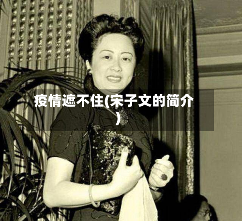 疫情遮不住(宋子文的简介)-第2张图片