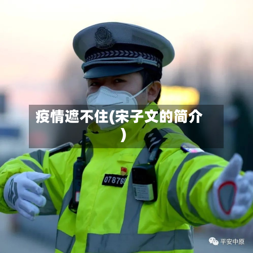 疫情遮不住(宋子文的简介)-第3张图片